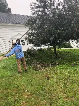 207 Landscaping Tree Service, LLC photo 3