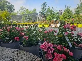Tripp Landscaping photo 7