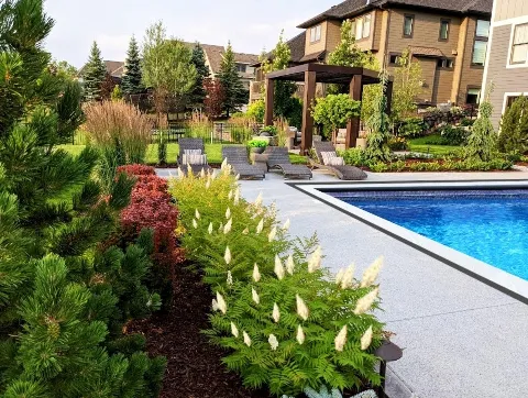 Beds & Borders Landscape Design, Inc. photo 1