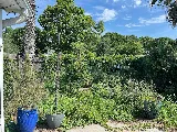 Bells Landscaping Charleston photo 5
