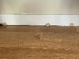 Nova Wood Floors photo 3
