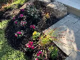 ClearKut Landscaping Inc. photo 8