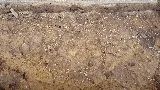 Guardian Preventative Termite & Pest Control photo 5