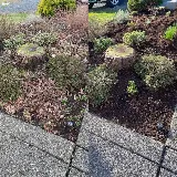 Wild Ridge Landscaping