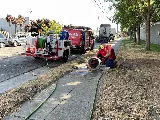 Mr. Rooter Plumbing of The Oakland-Berkeley Area photo 3