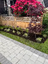 Blossom Landscaping photo 3