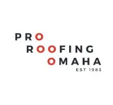 Professional Roofing photo 7