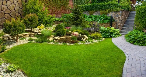 Nova Landscapers photo 1