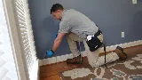The Best Pest Control Solutions photo 3