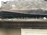 Knockout Pest Control photo 3