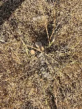 Enterprise Pest & Weed Services photo 3