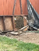 Nature Exterminator photo 3