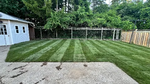 Olive landscaping ca photo 1