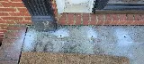 All South Pest Control photo 6