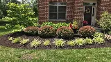 Basil Green Landscaping photo 3
