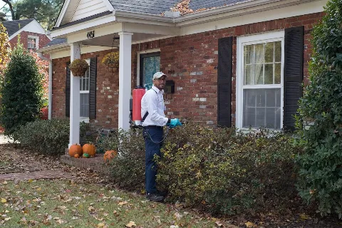 Allied Termite & Pest Control photo 1