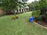 Affordable Lawn Care