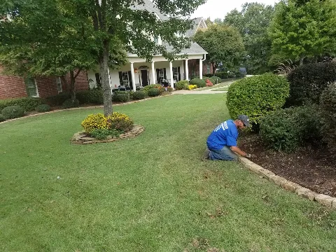 Affordable Lawn Care photo 1