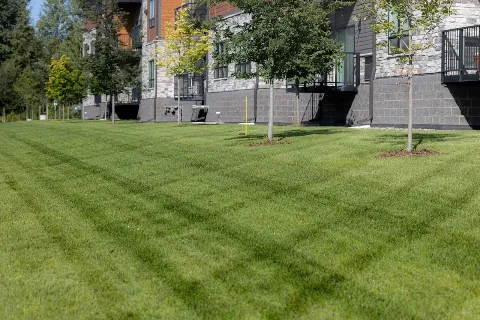 The Grounds Crew LLC photo 1