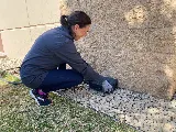 Rove Pest Control photo 3