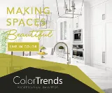 Color Trends- Professional Painters photo 7
