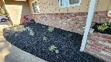 Del Rio Landscaping photo 8