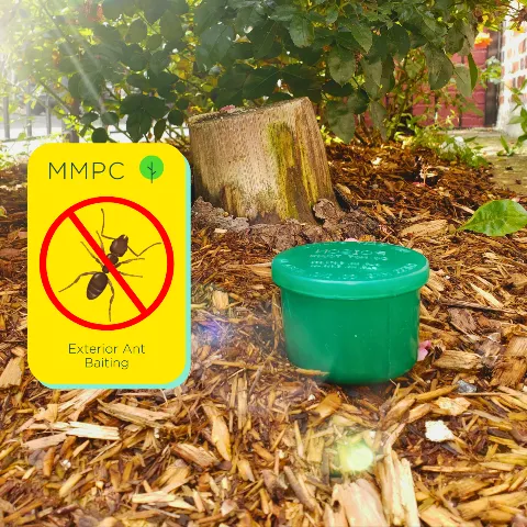 MMPC photo 1