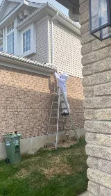 Pest Stop Inc. Pest Control Services photo 5