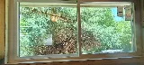 Champion Replacement Windows of Denver photo 7