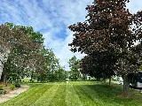Miller's Landscaping photo 7