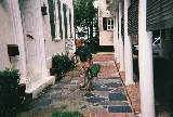 Atlantic Pest and Termite Management, Inc. photo 8