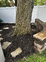 BellaVista Landscaping photo 5