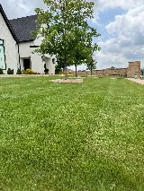 Sureguard Lawn & Pest