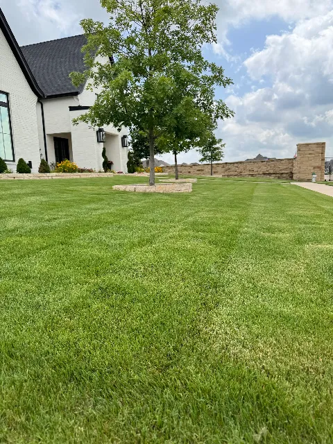 Sureguard Lawn & Pest in Dallas