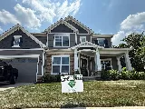Green Diamond Painting photo 5