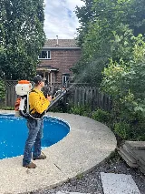 Mosquito Man Oakville photo 4