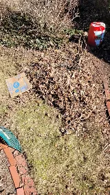 MekhScape Landscaping & Snow Removal Corp. photo 6