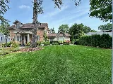 Lush Lawncare & Landscaping photo 4