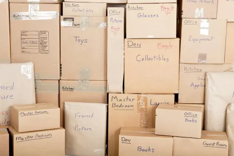 Apple Movers photo 1