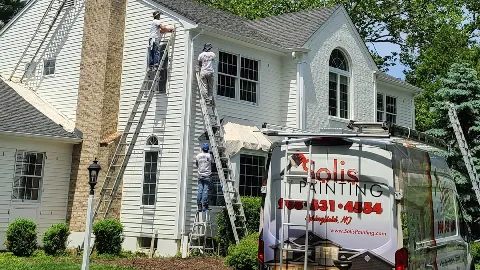 Solis Painting photo 1
