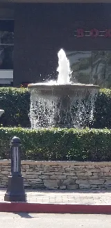 Quality Pool Care photo 7