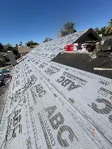 Nevada Exteriors photo 4