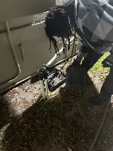 Statewide Pest Control, INC. photo 3