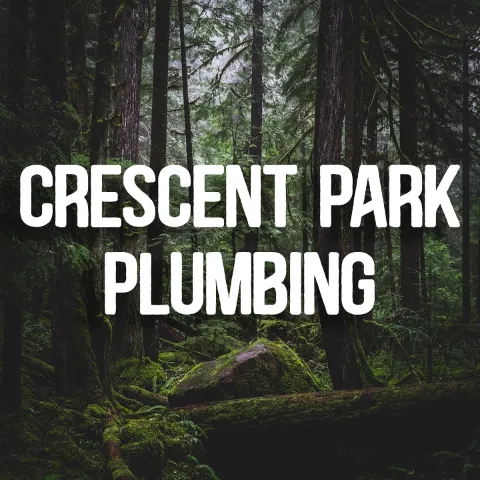Crescent Park Plumbing in Surrey