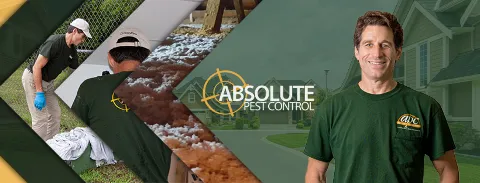 Absolute Pest Control in Schenectady