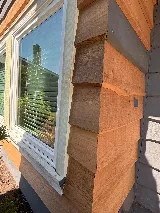 Tall Guy Painting - Delta House Painters photo 7