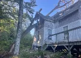 Driscoll Tree Service