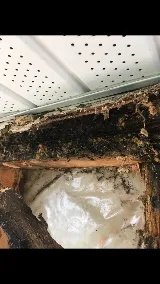 Wipe Out Pest Control Ltd