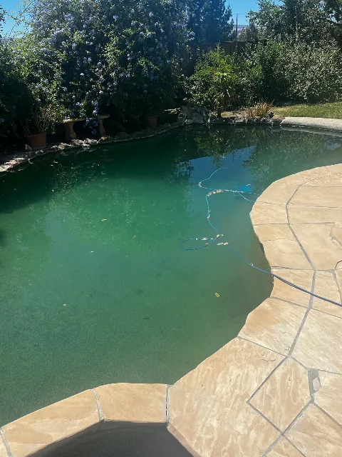 Elite Pool Service in Livermore