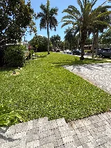 M.C. GENERAL LANDSCAPING, INC. photo 5